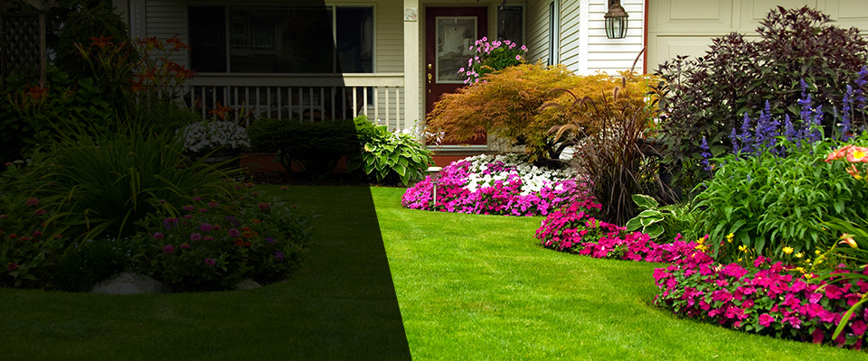 Mc Kees Rocks Landscapers