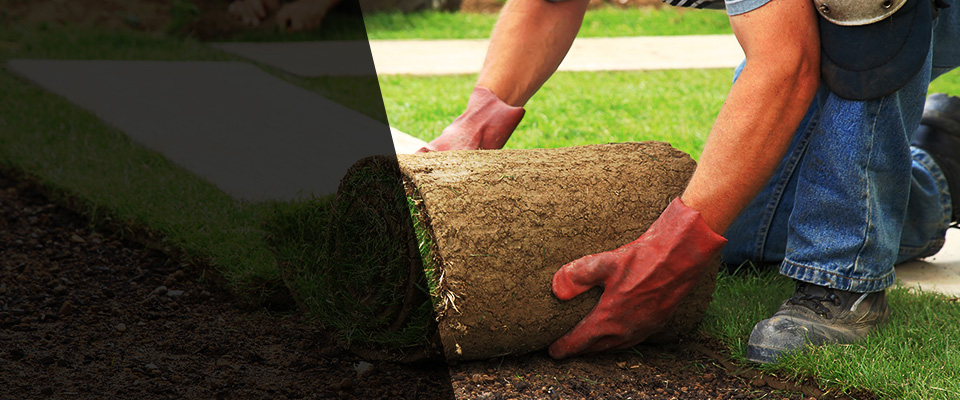 Mc Kees Rocks Landscapers